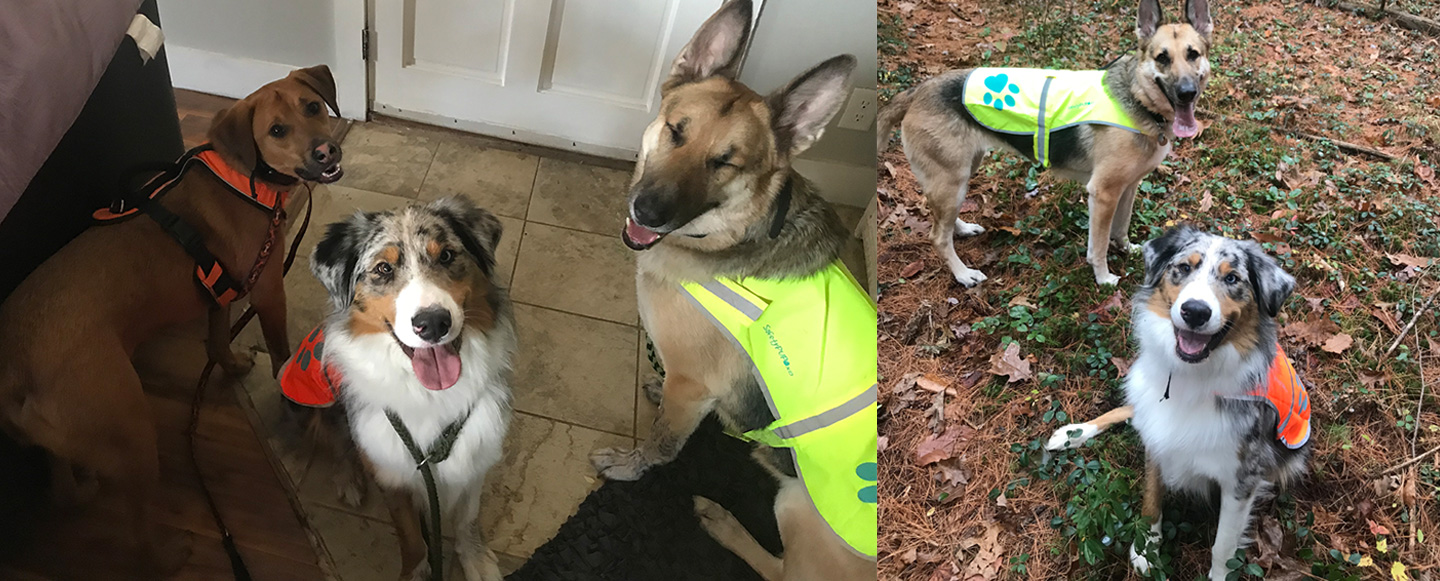 Wicked Willie's Hand-Crafted Dog Food LLC