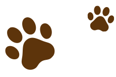 Paw Prints