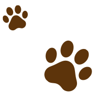 Paw Prints