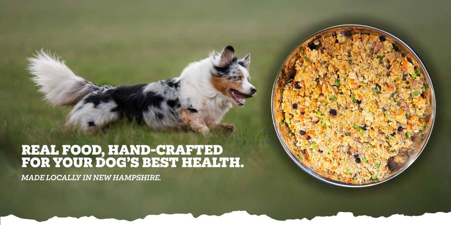 Wicked Willie's Hand-Crafted Dog Food LLC