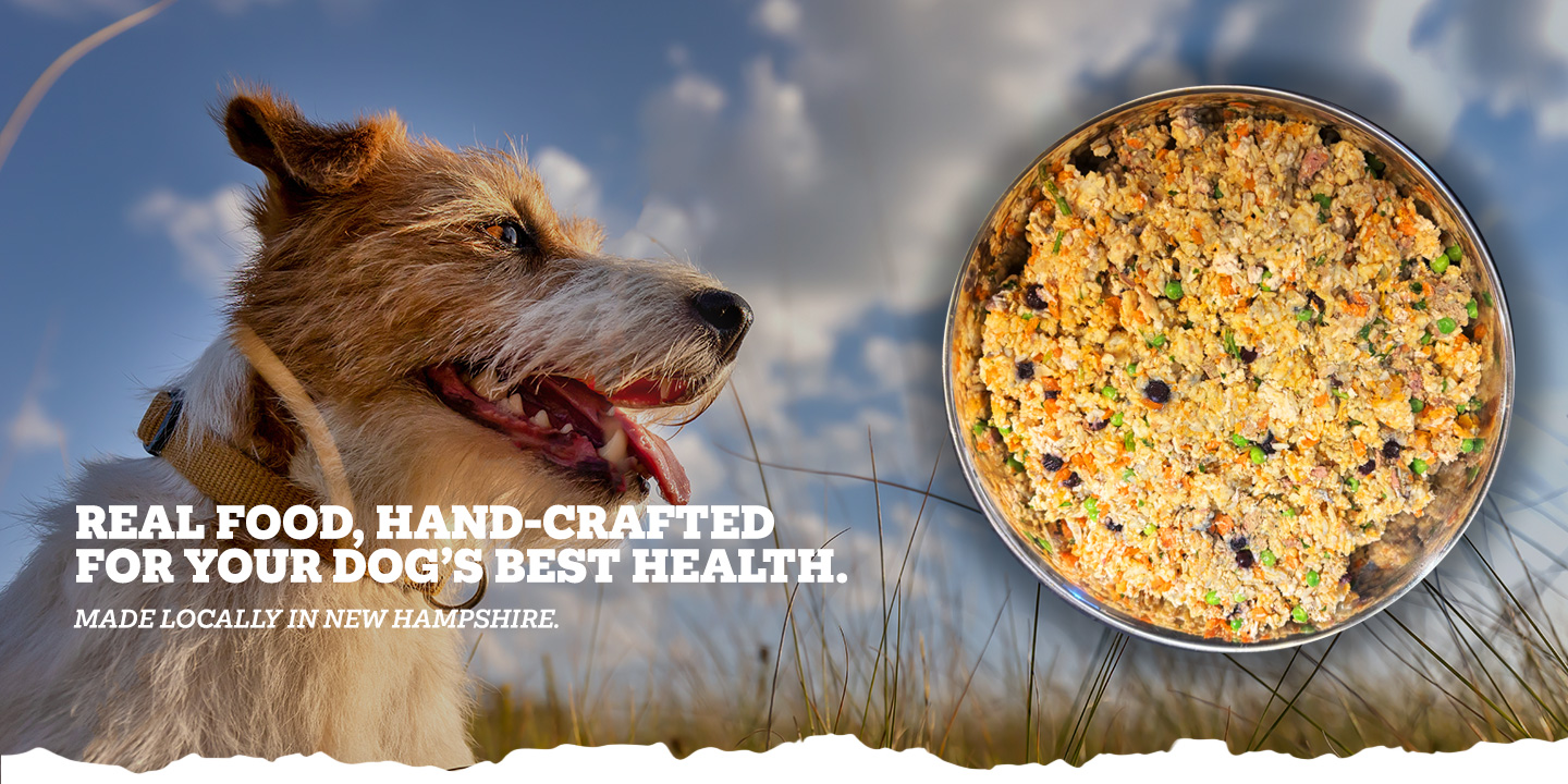 Wicked Willie's Hand-Crafted Dog Food LLC