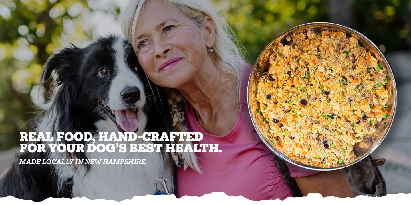 Wicked Willie's Hand-Crafted Dog Food LLC