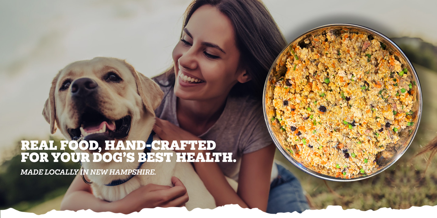 Wicked Willie's Hand-Crafted Dog Food LLC