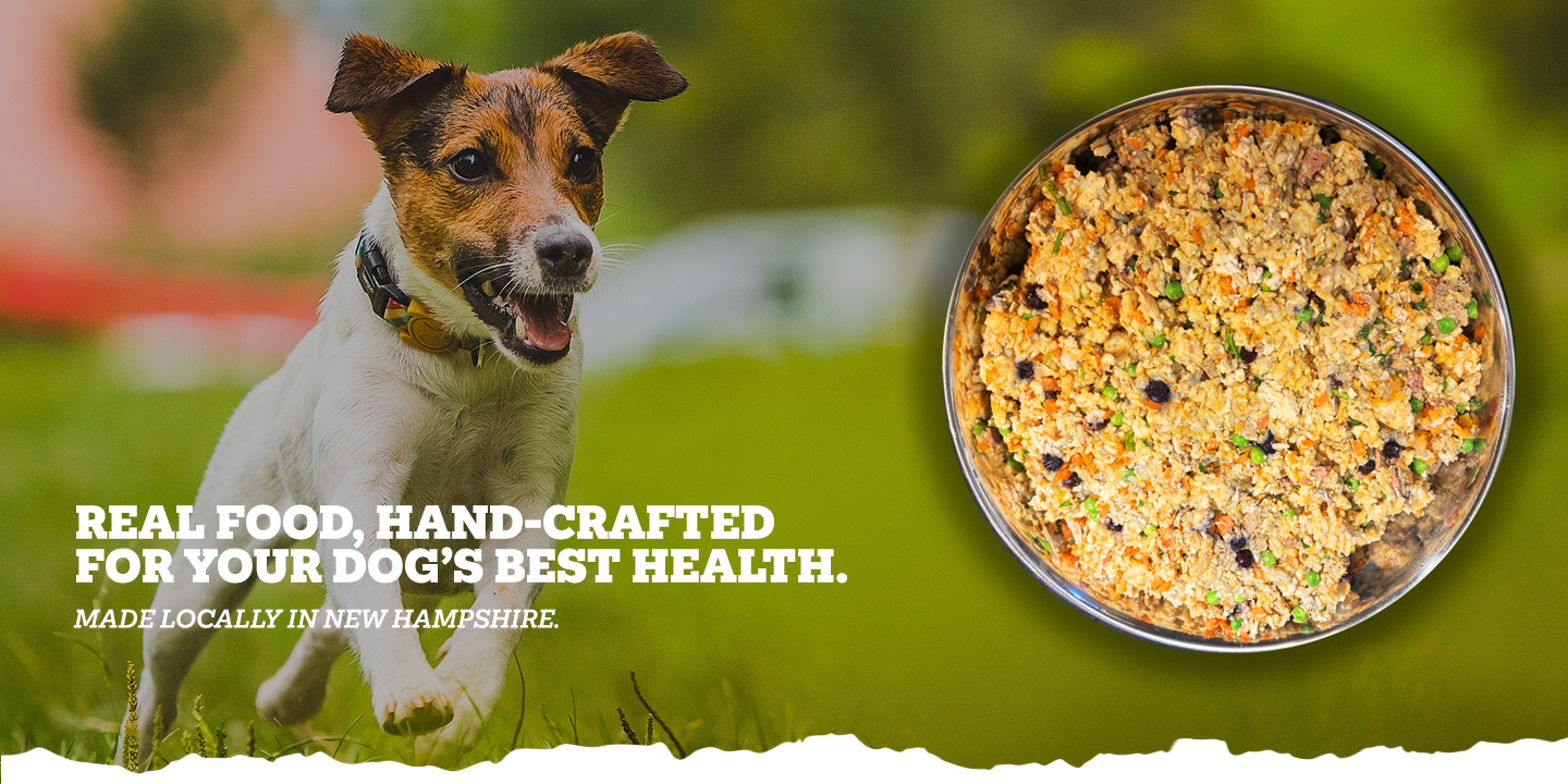 Wicked Willie's Hand-Crafted Dog Food LLC